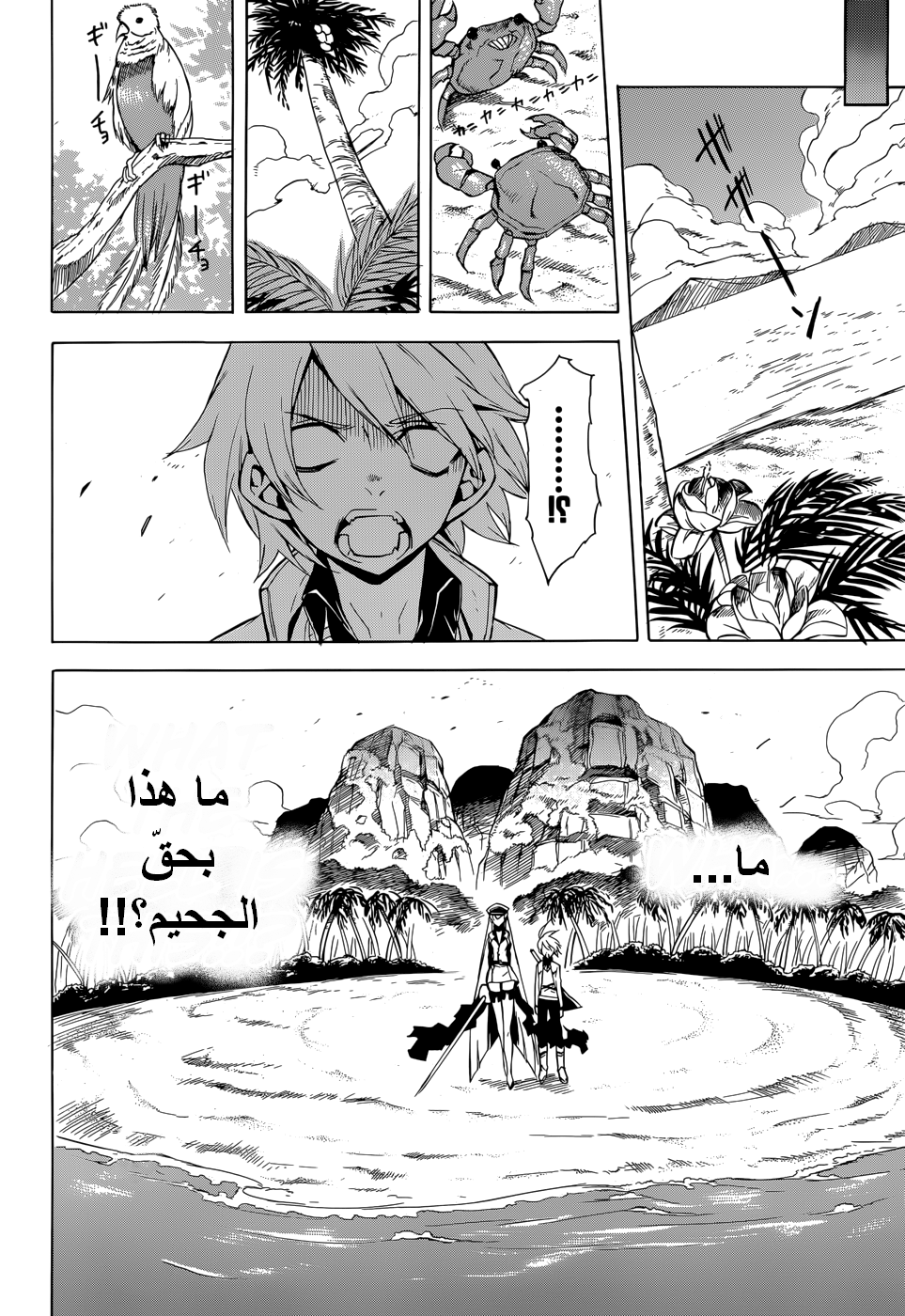 Akame ga Kill: Chapter 26 - Page 13