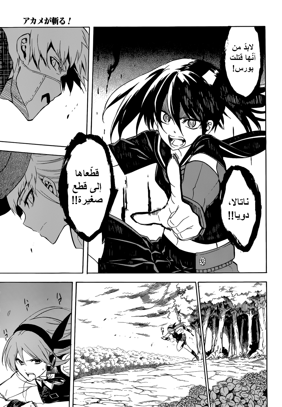 Akame ga Kill: Chapter 33 - Page 34