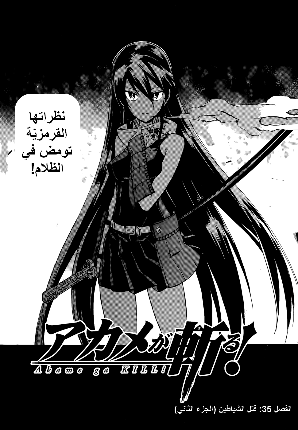 Akame ga Kill: Chapter 35 - Page 5