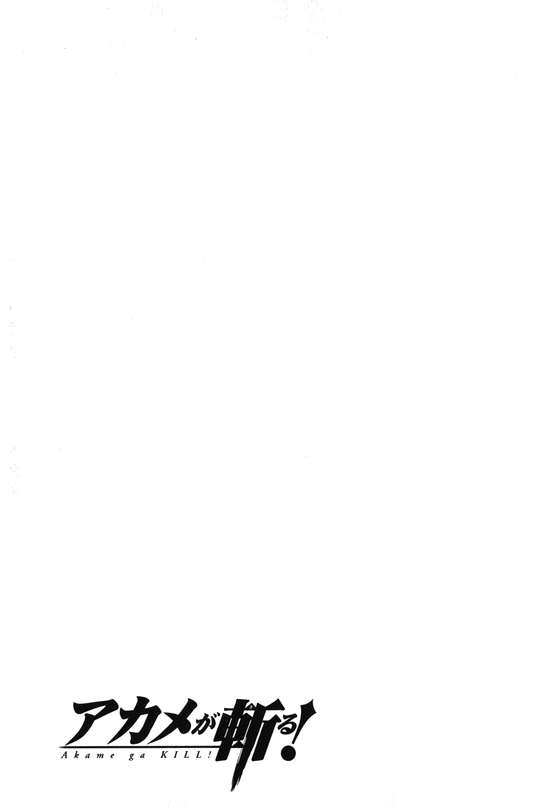 Akame ga Kill: Chapter 35 - Page 47