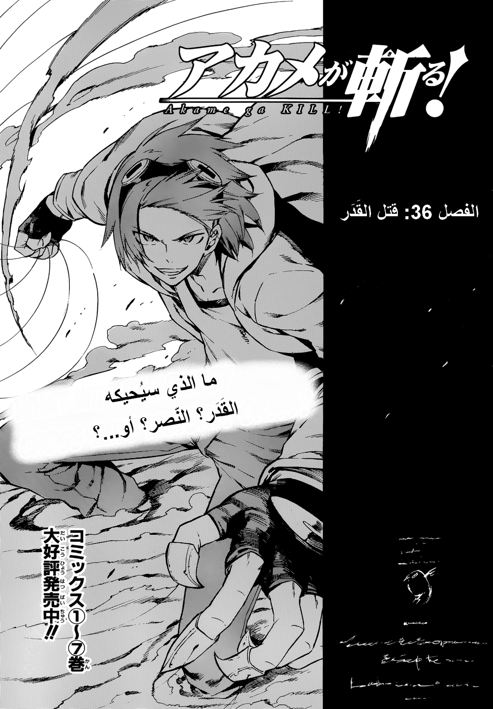 Akame ga Kill: Chapter 36 - Page 6