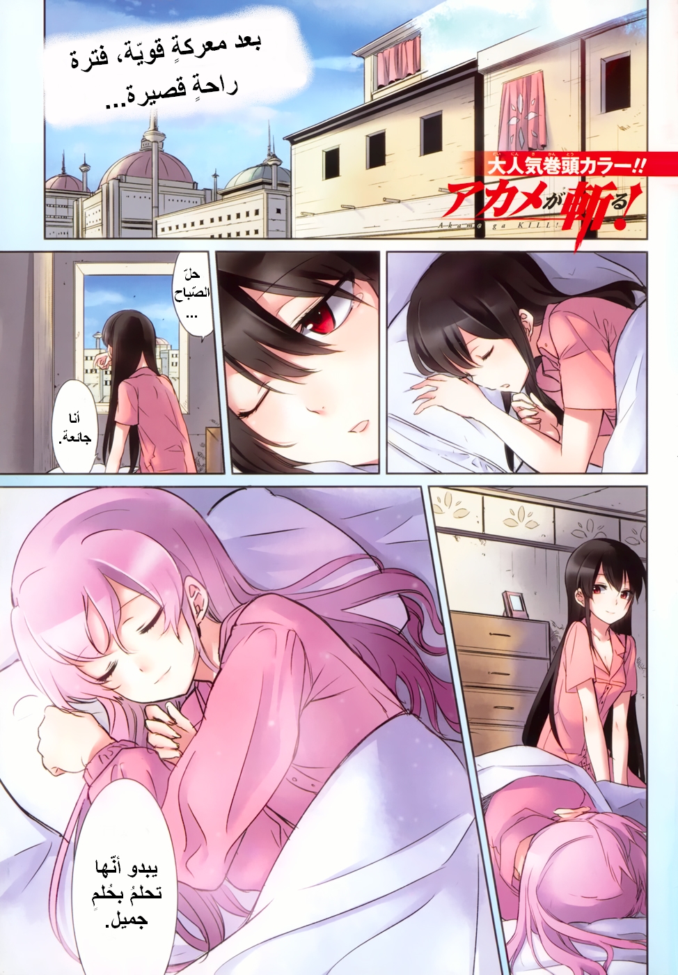 Akame ga Kill: Chapter 39 - Page 2