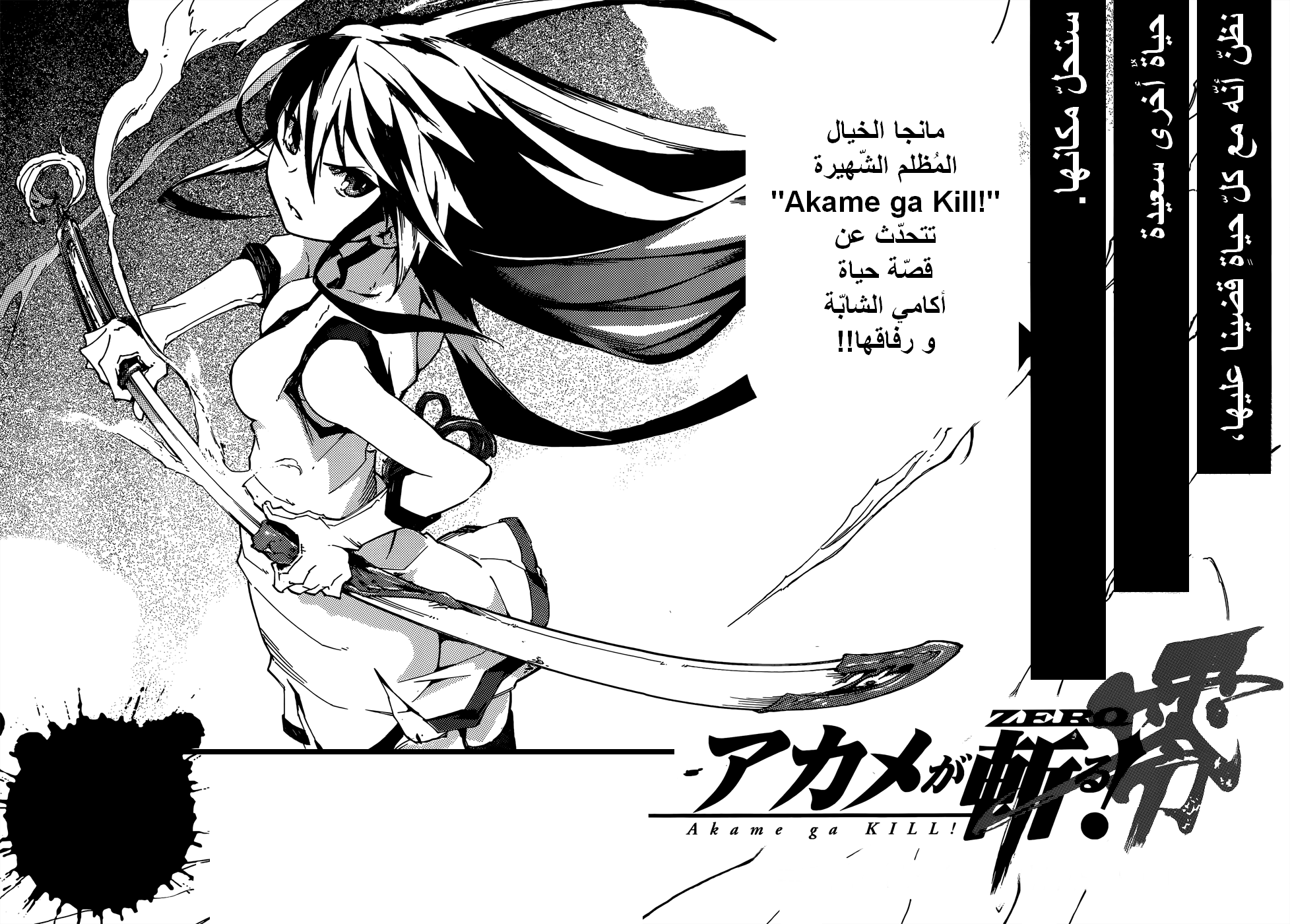 Akame ga Kill: Chapter 39 - Page 44