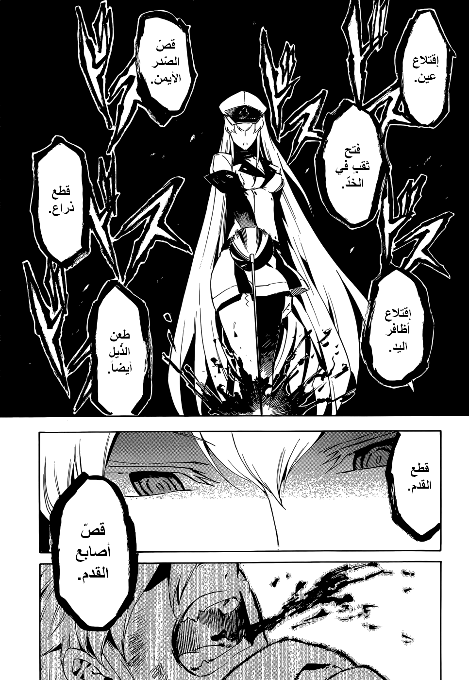 Akame ga Kill: Chapter 41 - Page 41