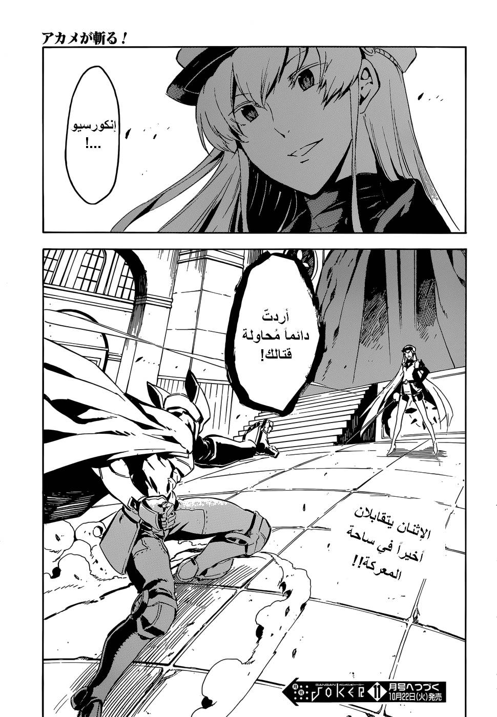 Akame ga Kill: Chapter 41 - Page 45