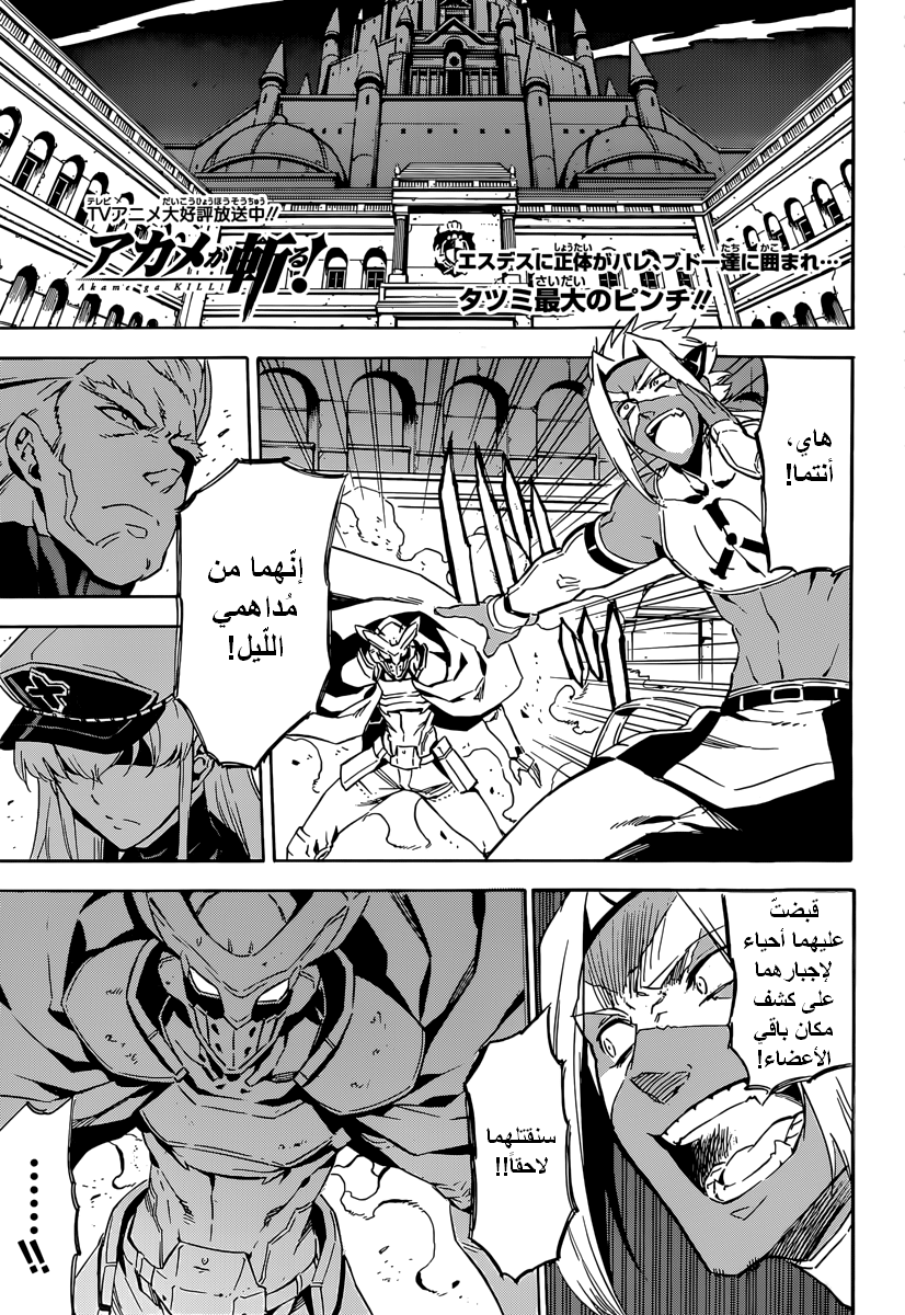 Akame ga Kill: Chapter 51 - Page 2