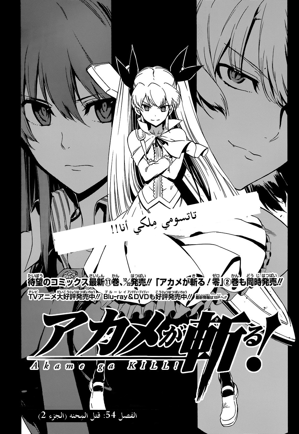 Akame ga Kill: Chapter 54 - Page 4