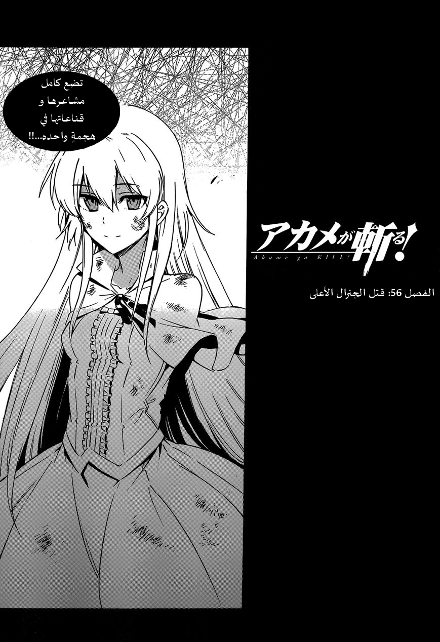 Akame ga Kill: Chapter 56 - Page 18