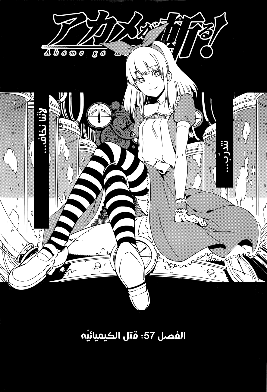 Akame ga Kill: Chapter 57 - Page 2