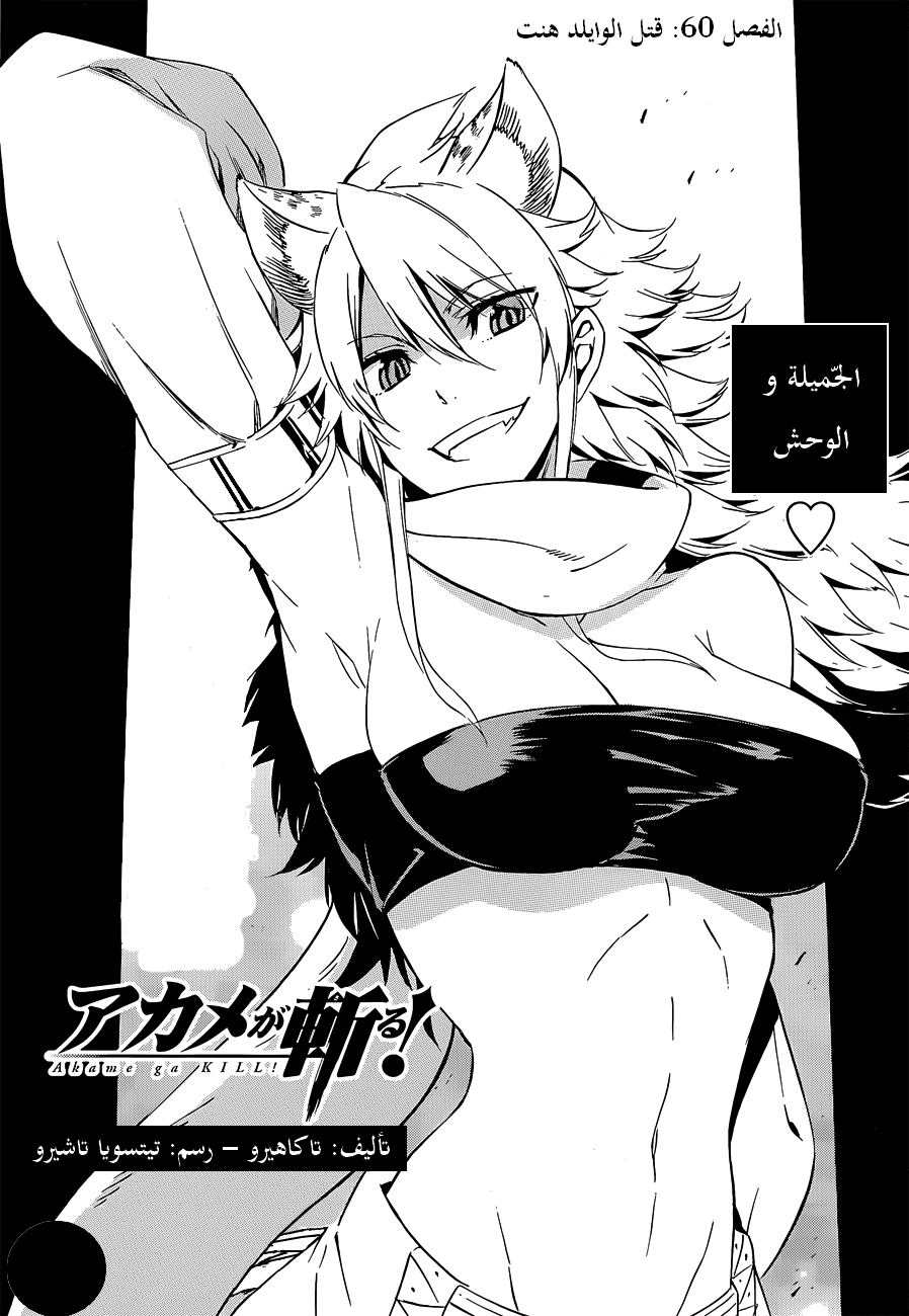 Akame ga Kill: Chapter 60 - Page 2