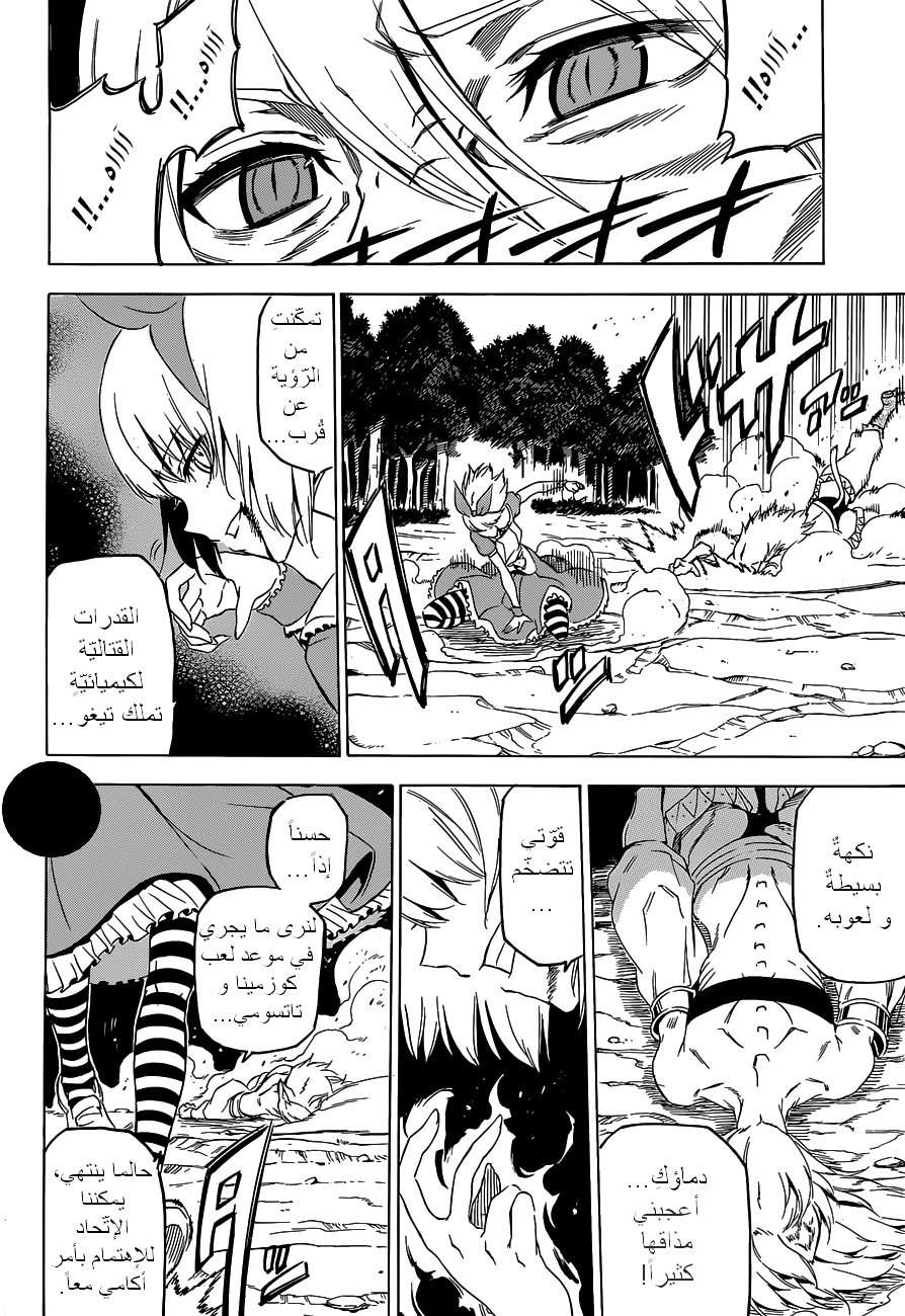 Akame ga Kill: Chapter 60 - Page 11