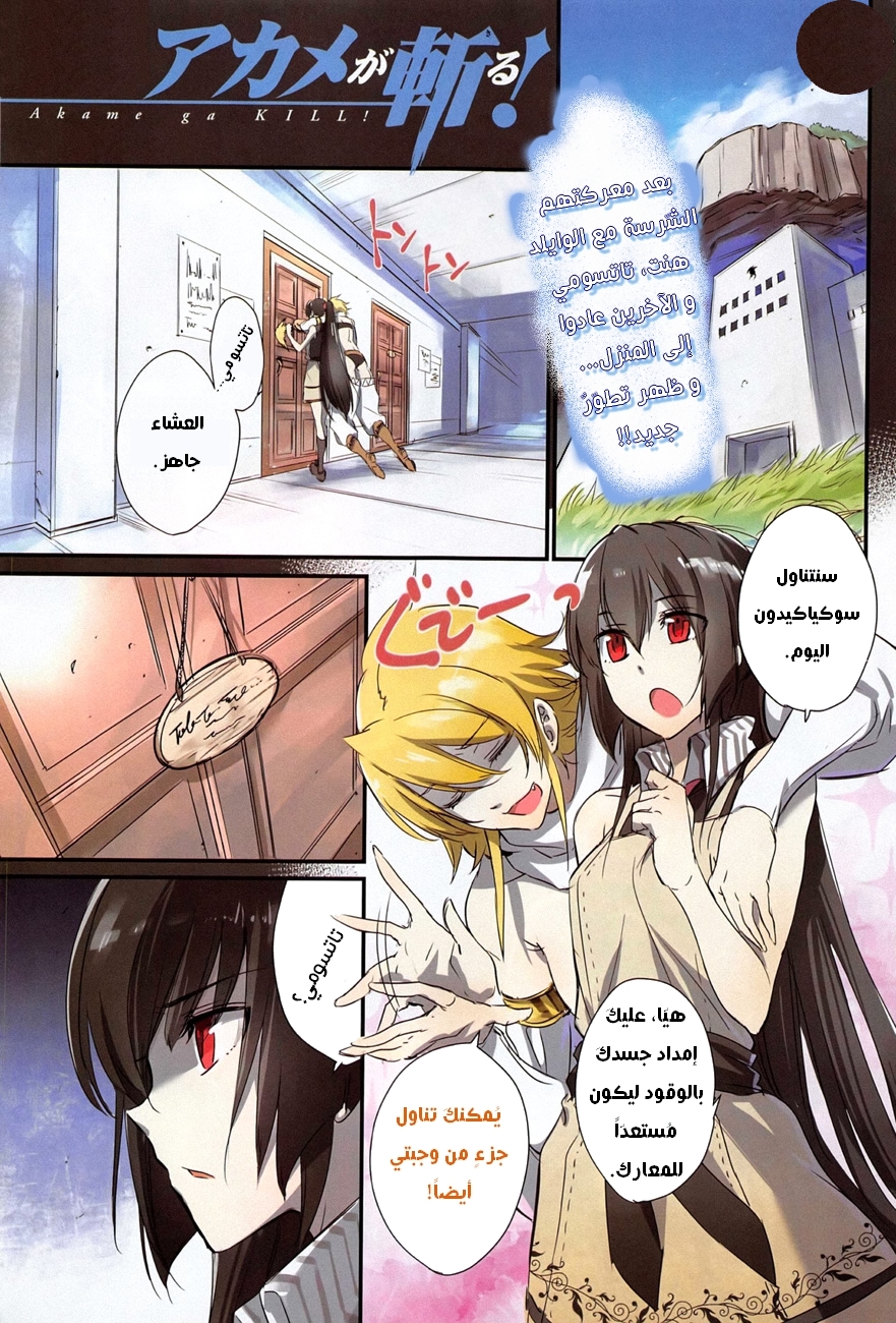 Akame ga Kill: Chapter 61 - Page 2