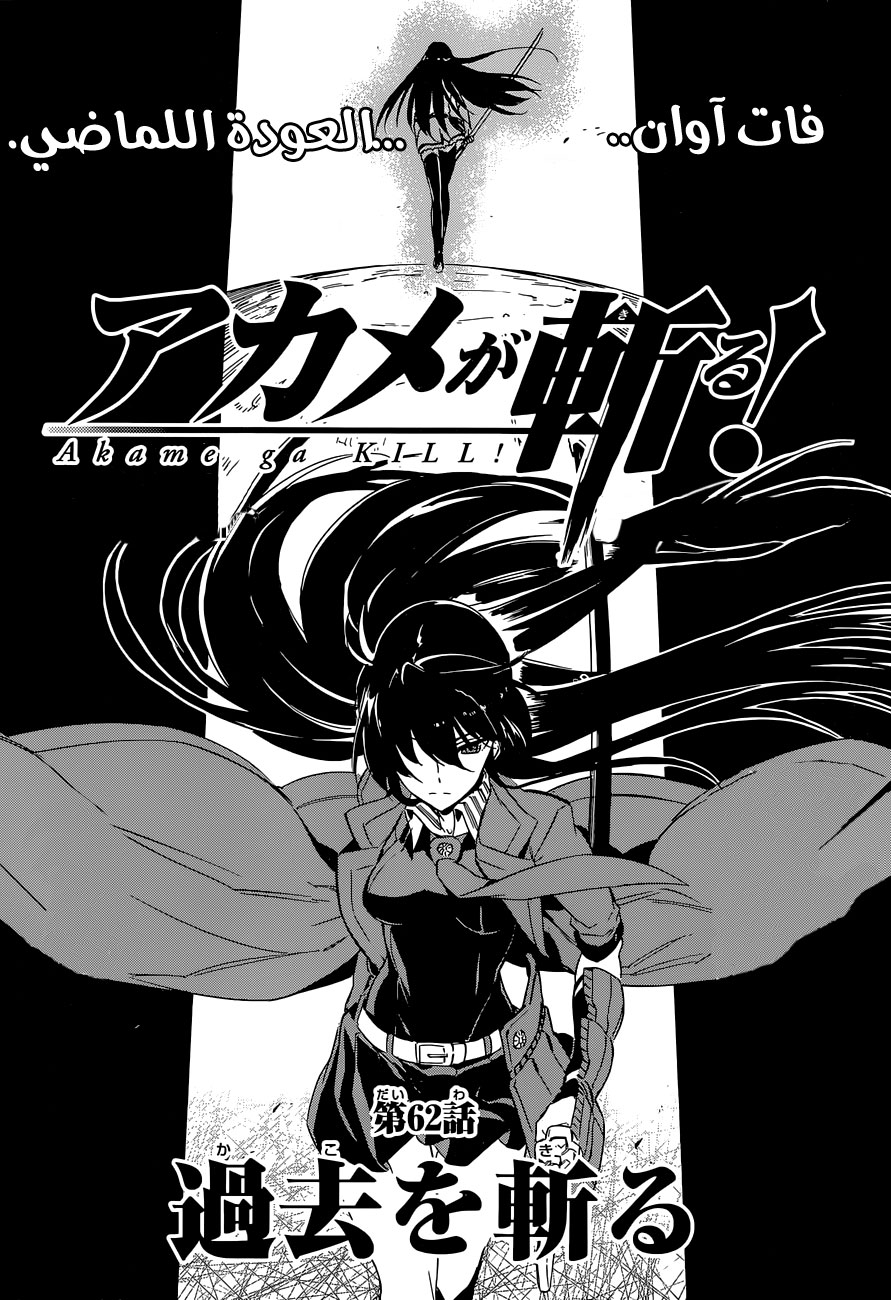 Akame ga Kill: Chapter 62 - Page 2