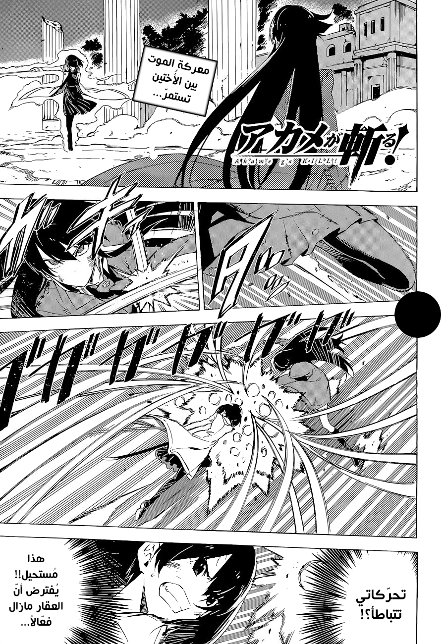 Akame ga Kill: Chapter 66 - Page 2