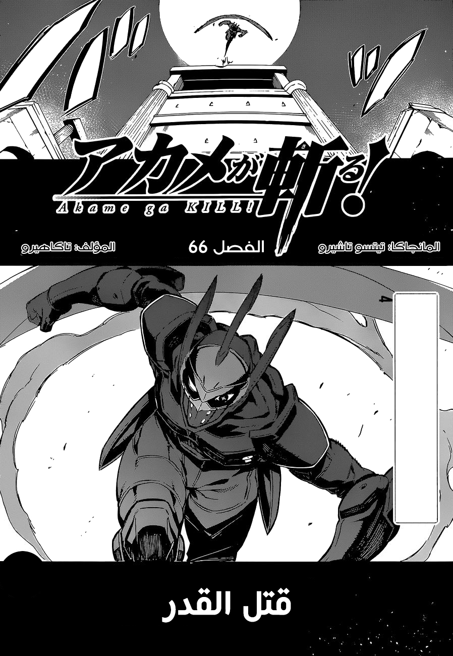 Akame ga Kill: Chapter 66 - Page 6