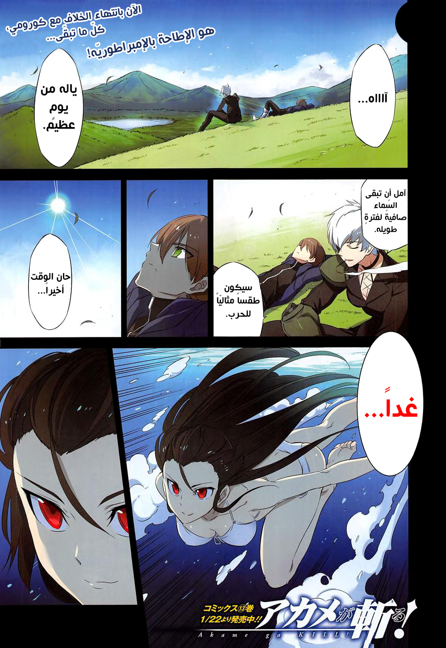 Akame ga Kill: Chapter 67 - Page 3
