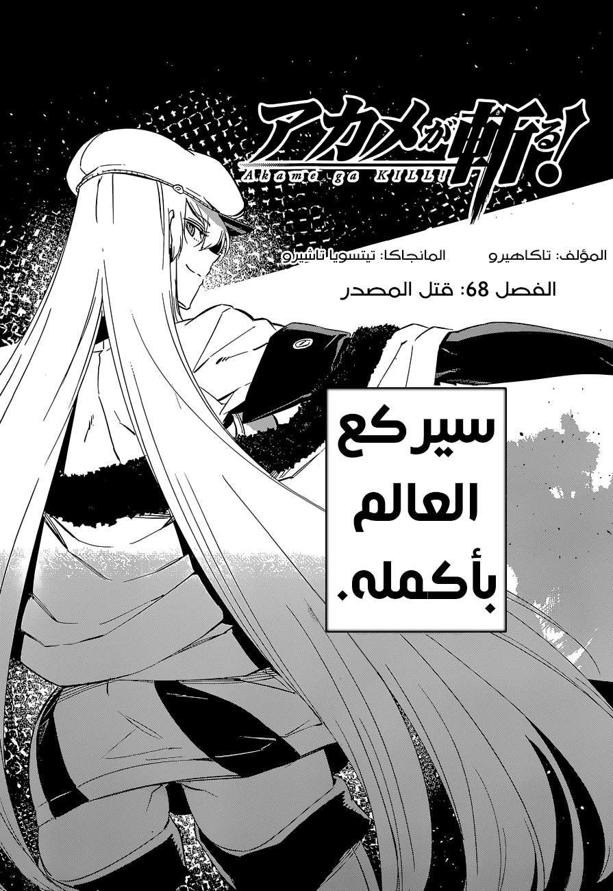 Akame ga Kill: Chapter 68 - Page 5