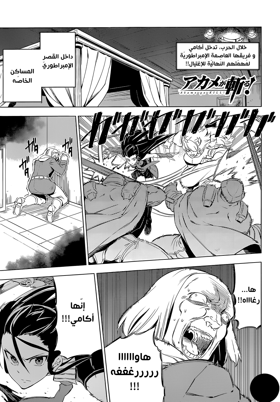 Akame ga Kill: Chapter 69 - Page 2