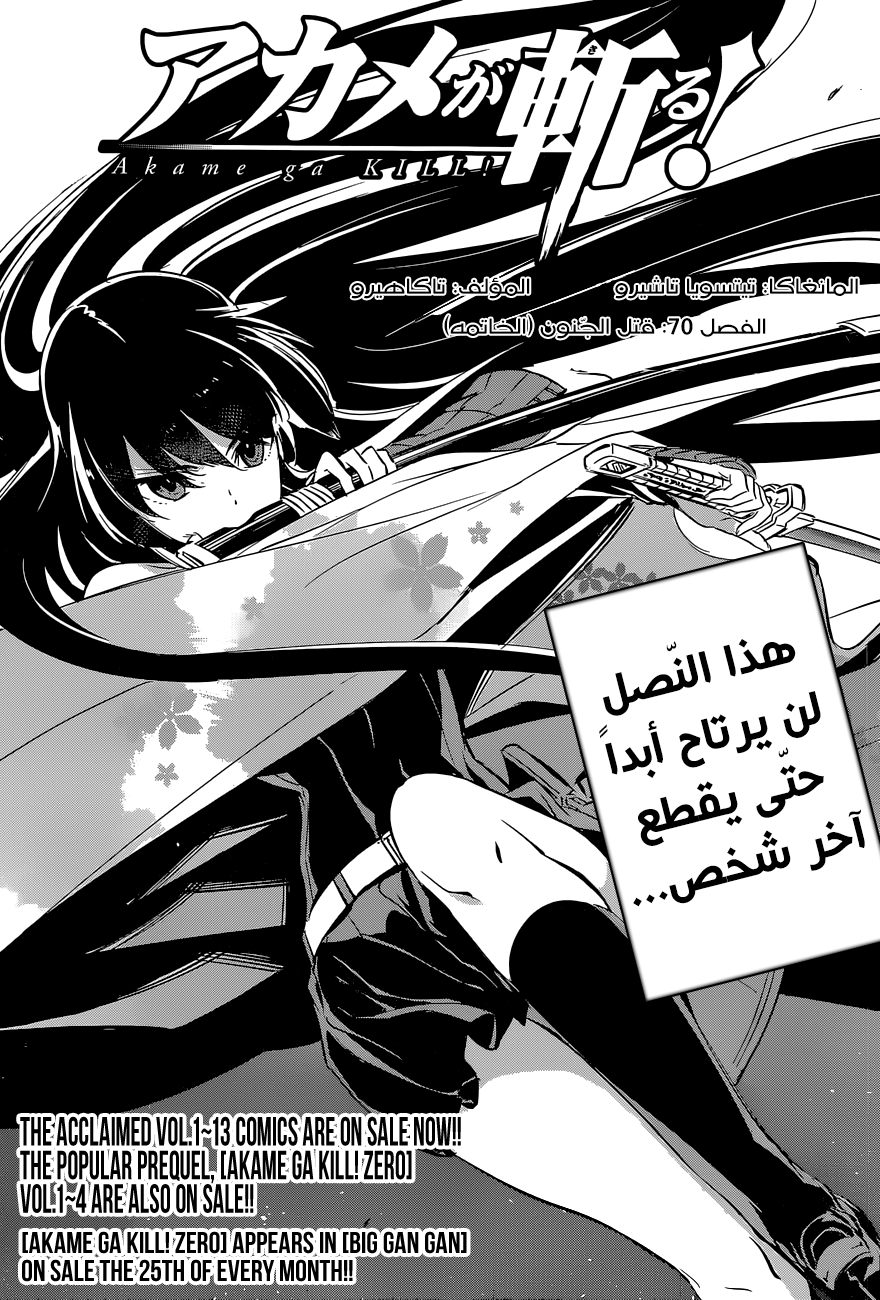 Akame ga Kill: Chapter 70 - Page 4