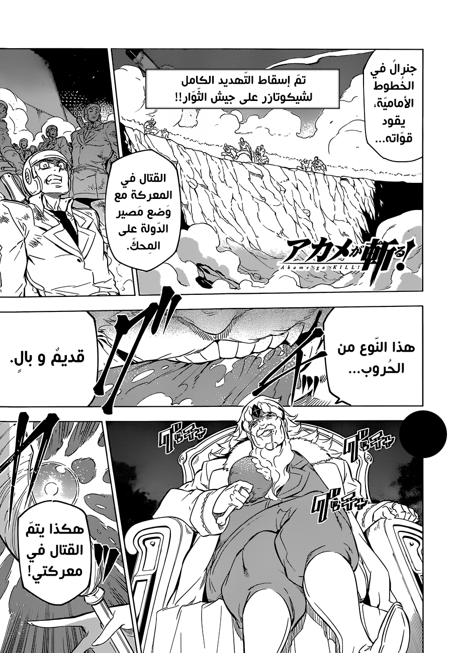 Akame ga Kill: Chapter 71 - Page 2