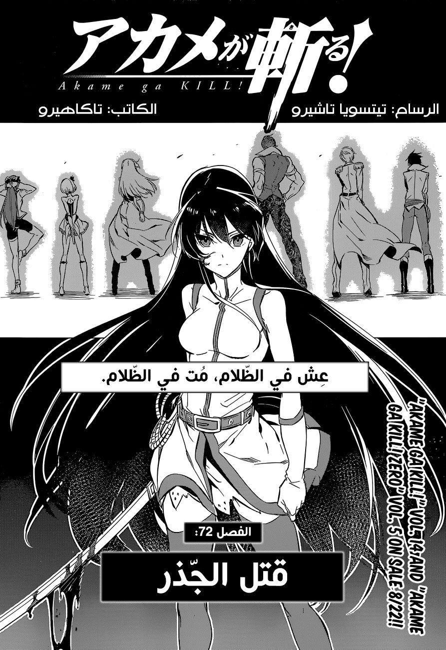 Akame ga Kill: Chapter 72 - Page 3