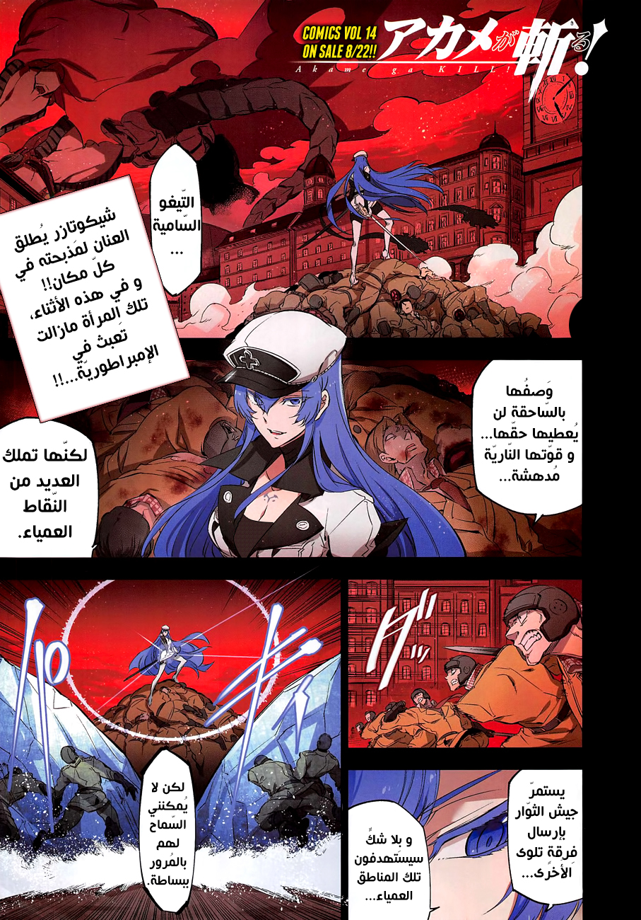 Akame ga Kill: Chapter 73 - Page 4