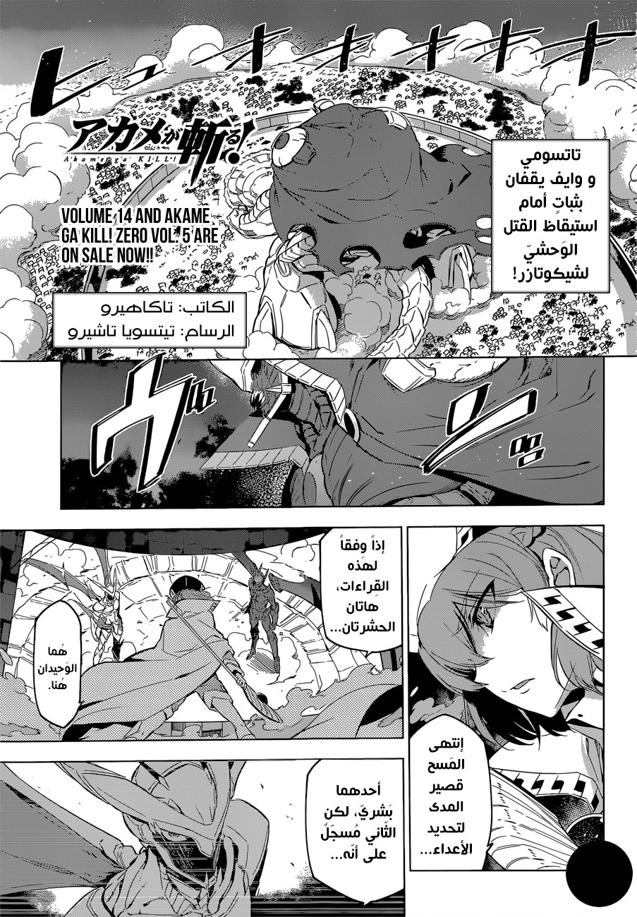 Akame ga Kill: Chapter 74 - Page 2