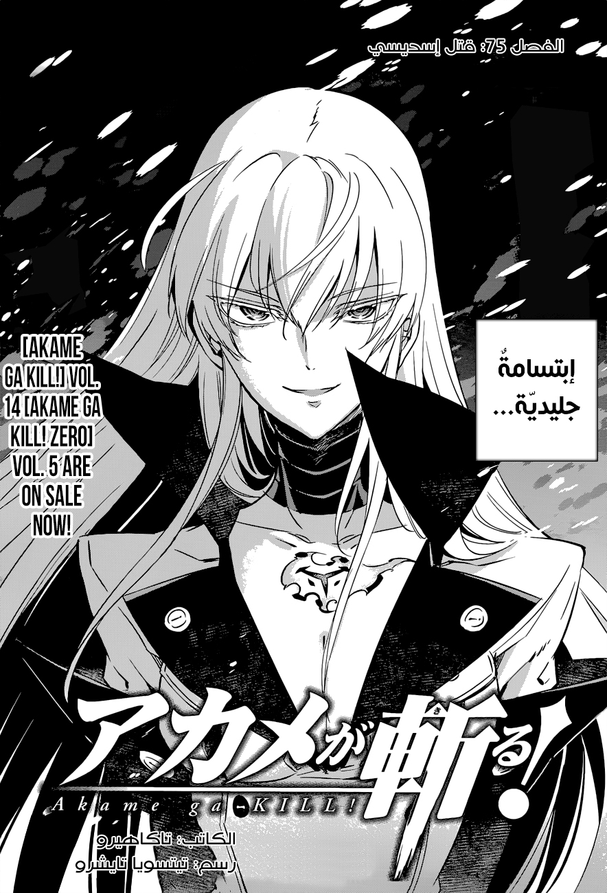 Akame ga Kill: Chapter 75 - Page 4