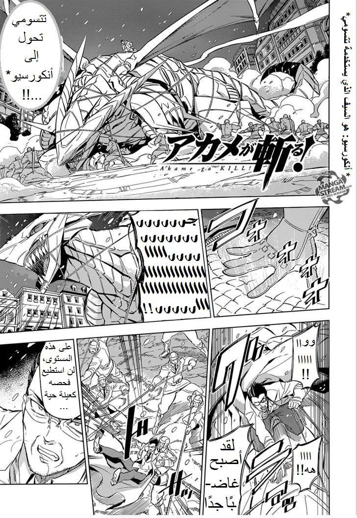 Akame ga Kill: Chapter 76.1 - Page 2