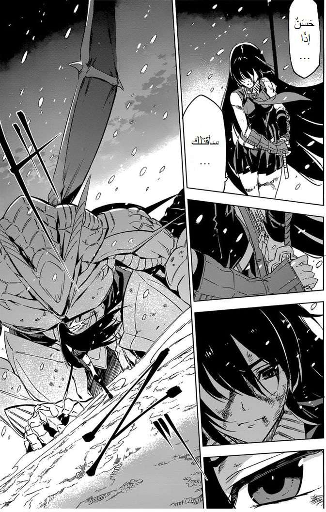 Akame ga Kill: Chapter 76.1 - Page 44