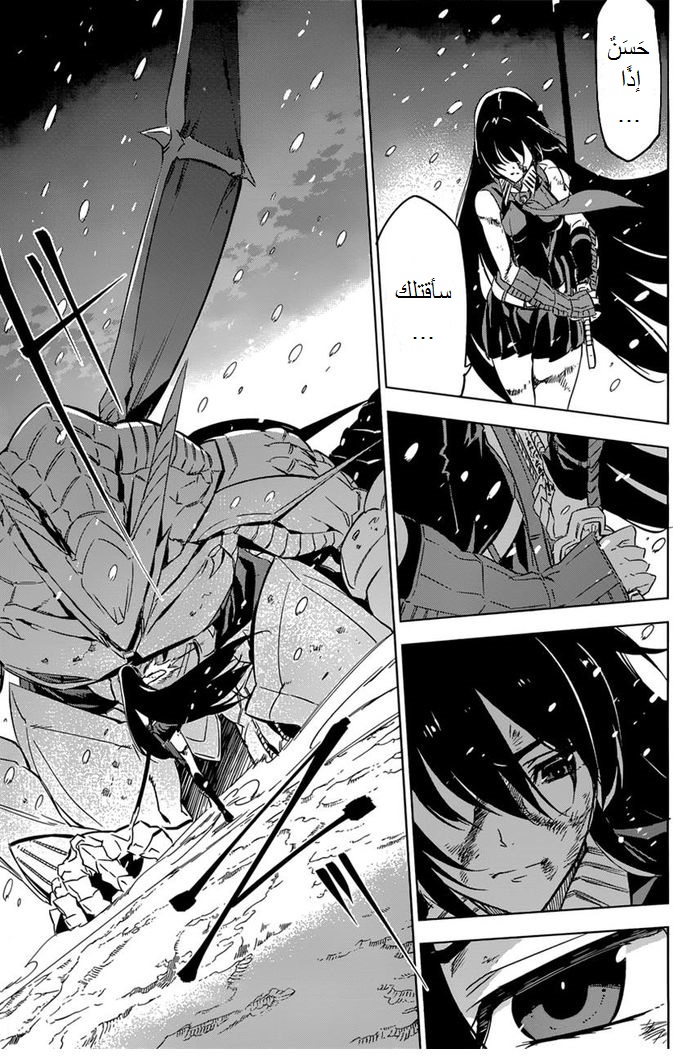Akame ga Kill: Chapter 76 - Page 44