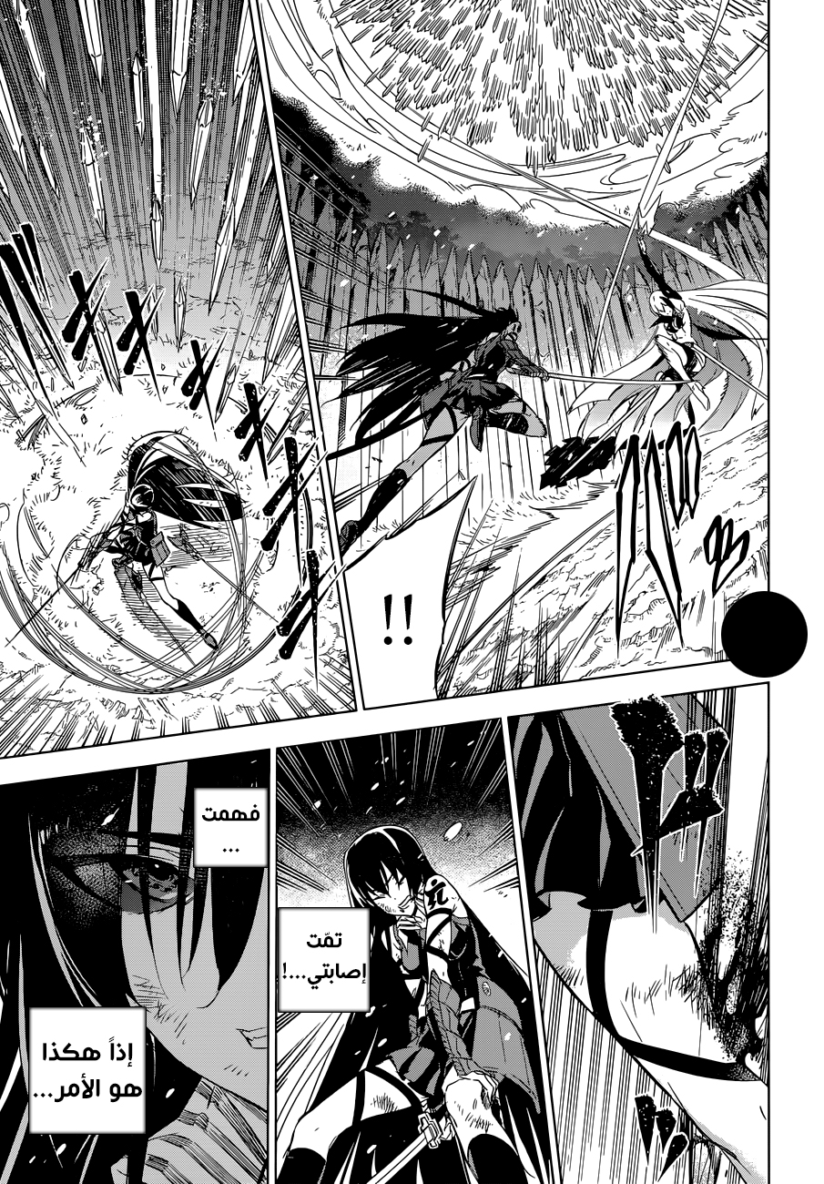 Akame ga Kill: Chapter 77 - Page 19