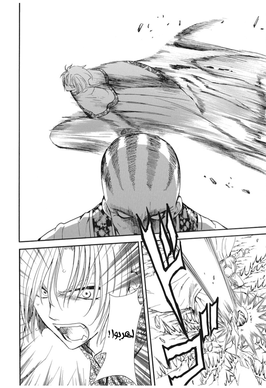 Akatsuki no Yona: Chapter 221 - Page 13