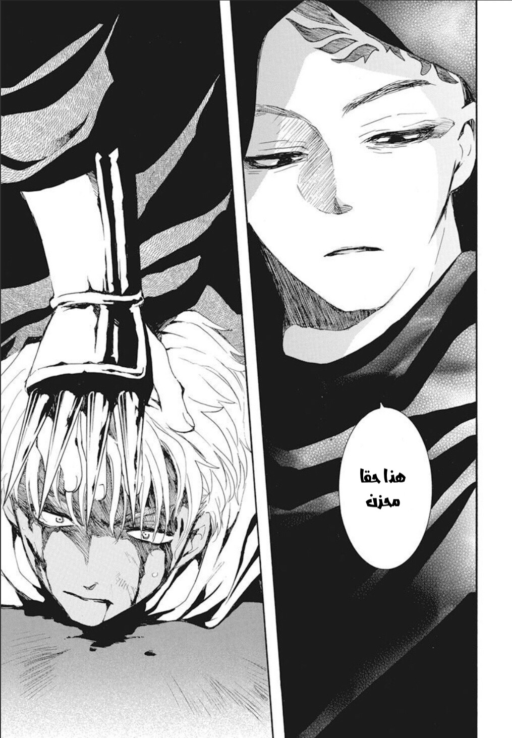 Akatsuki no Yona: Chapter 230 - Page 22