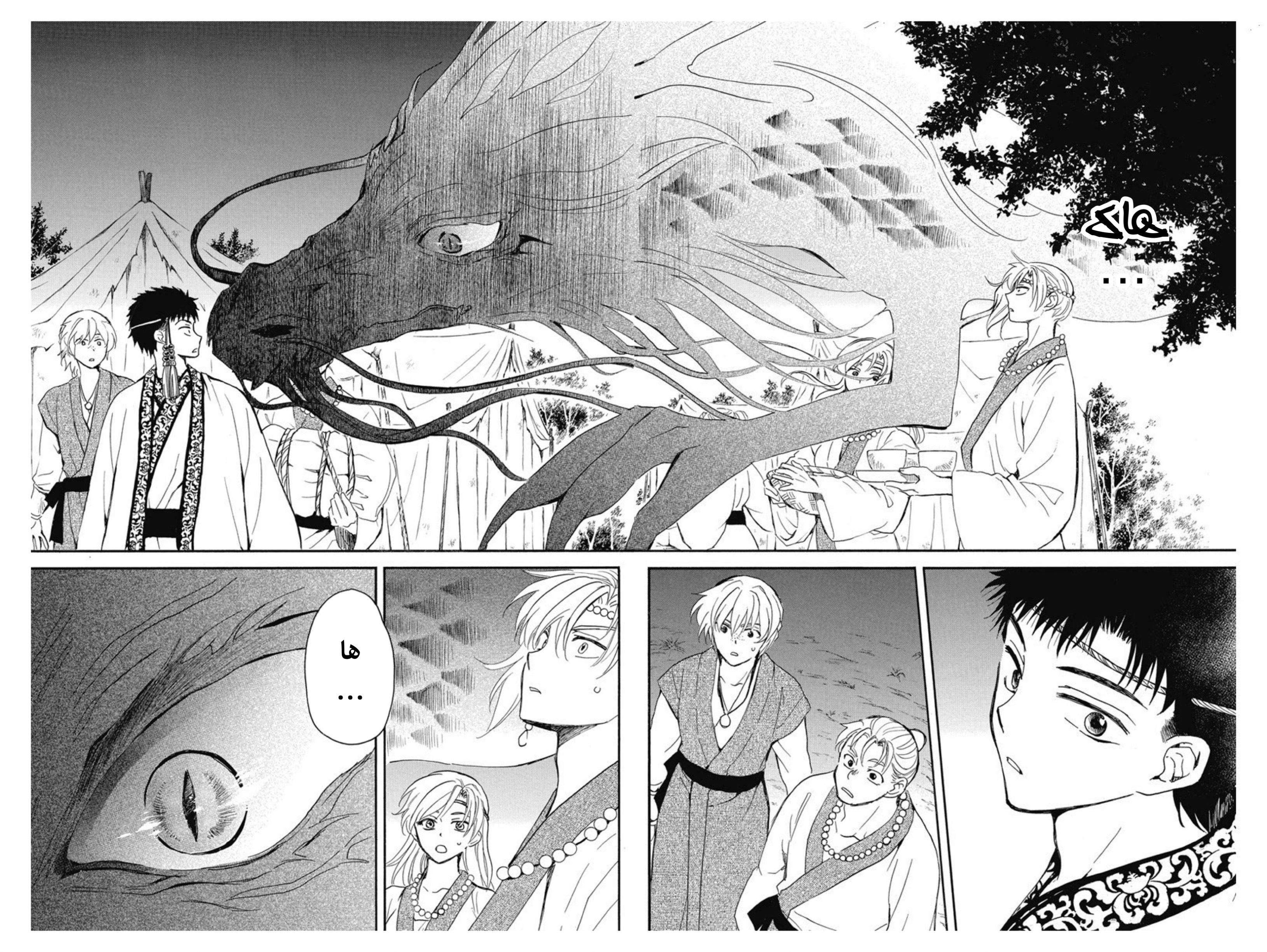 Akatsuki no Yona: Chapter 248 - Page 12