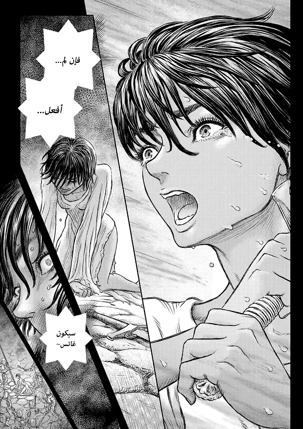 Berserk: Chapter 372 - Page 18