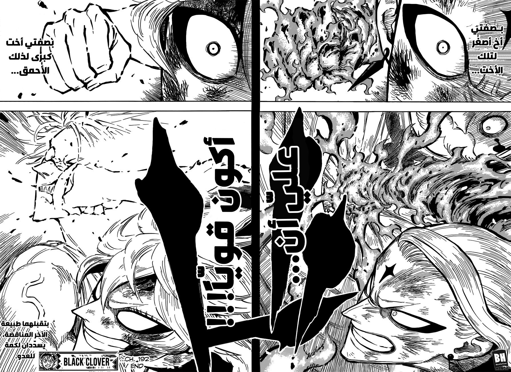 Black Clover: Chapter 192 - Page 14