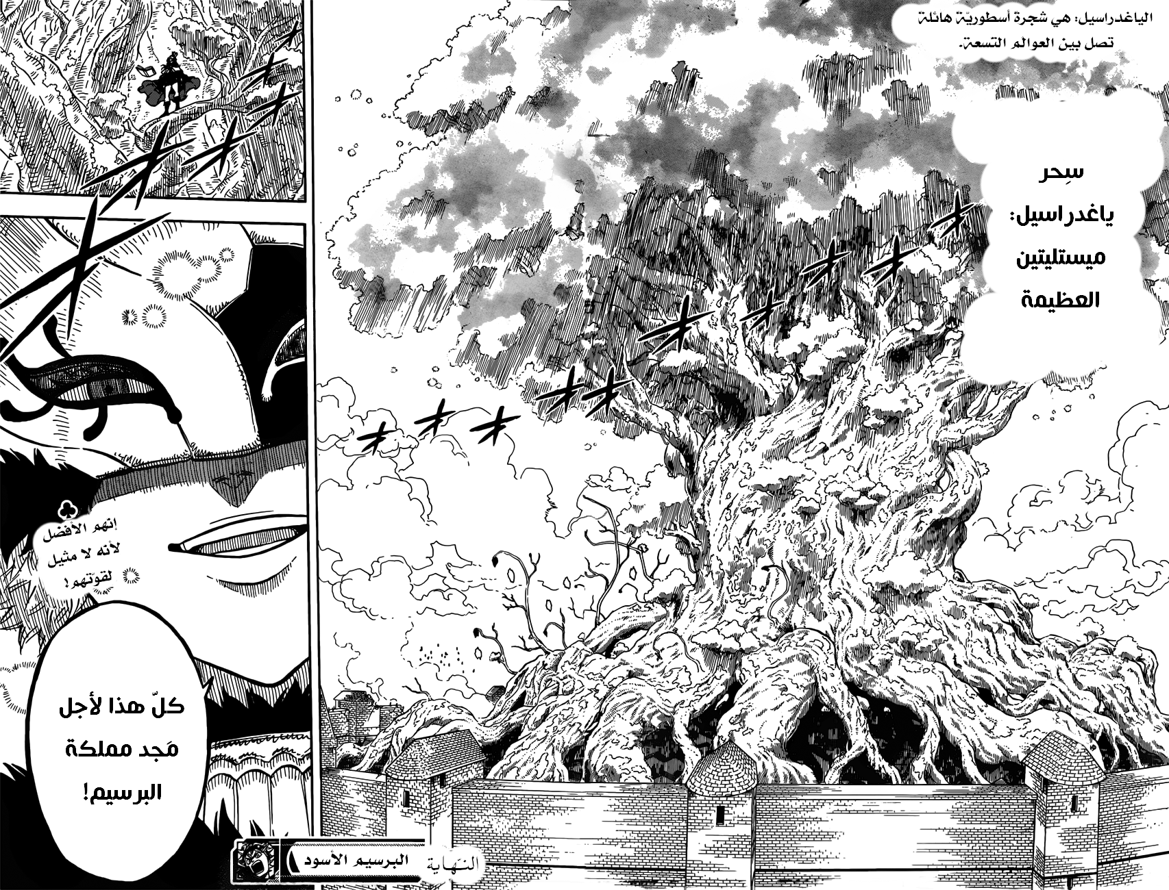 Black Clover: Chapter 76 - Page 17