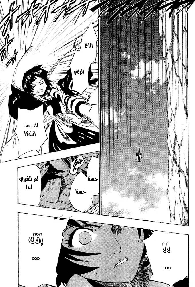 Bleach: Chapter 153 - Page 17