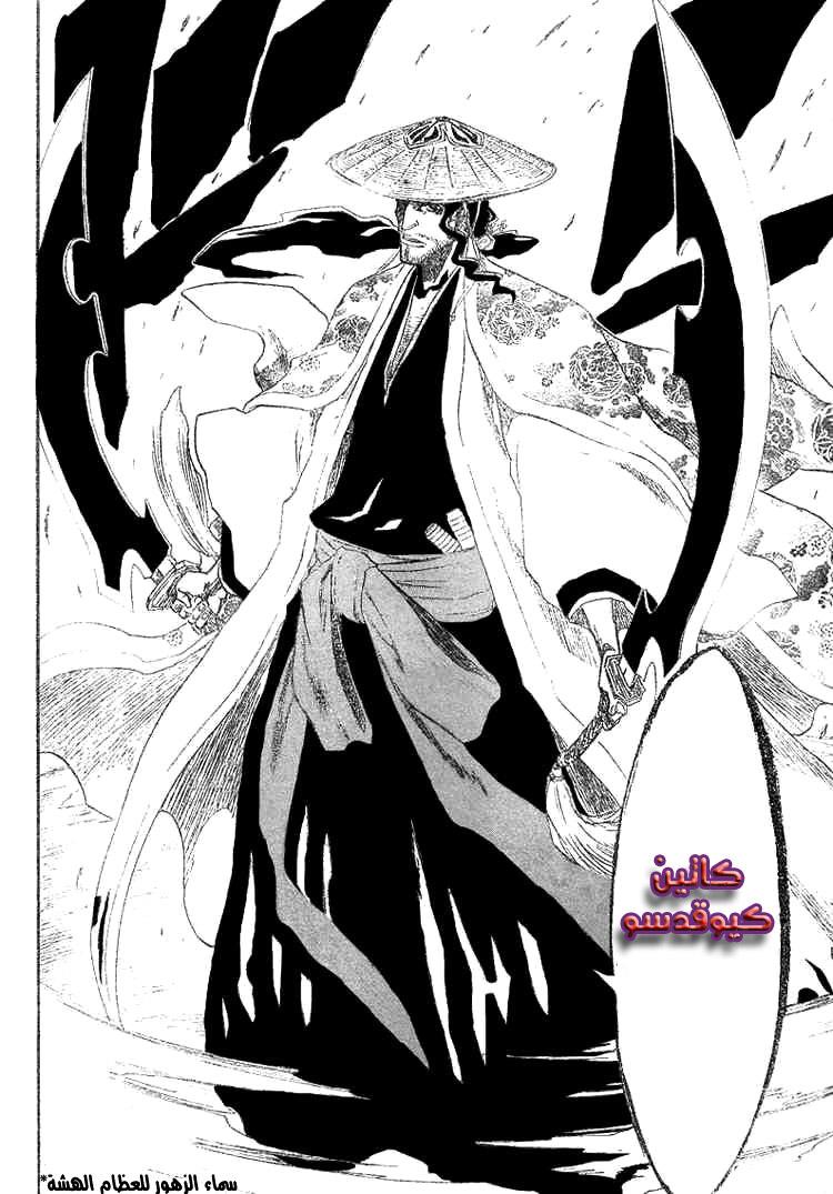Bleach: Chapter 156 - Page 13