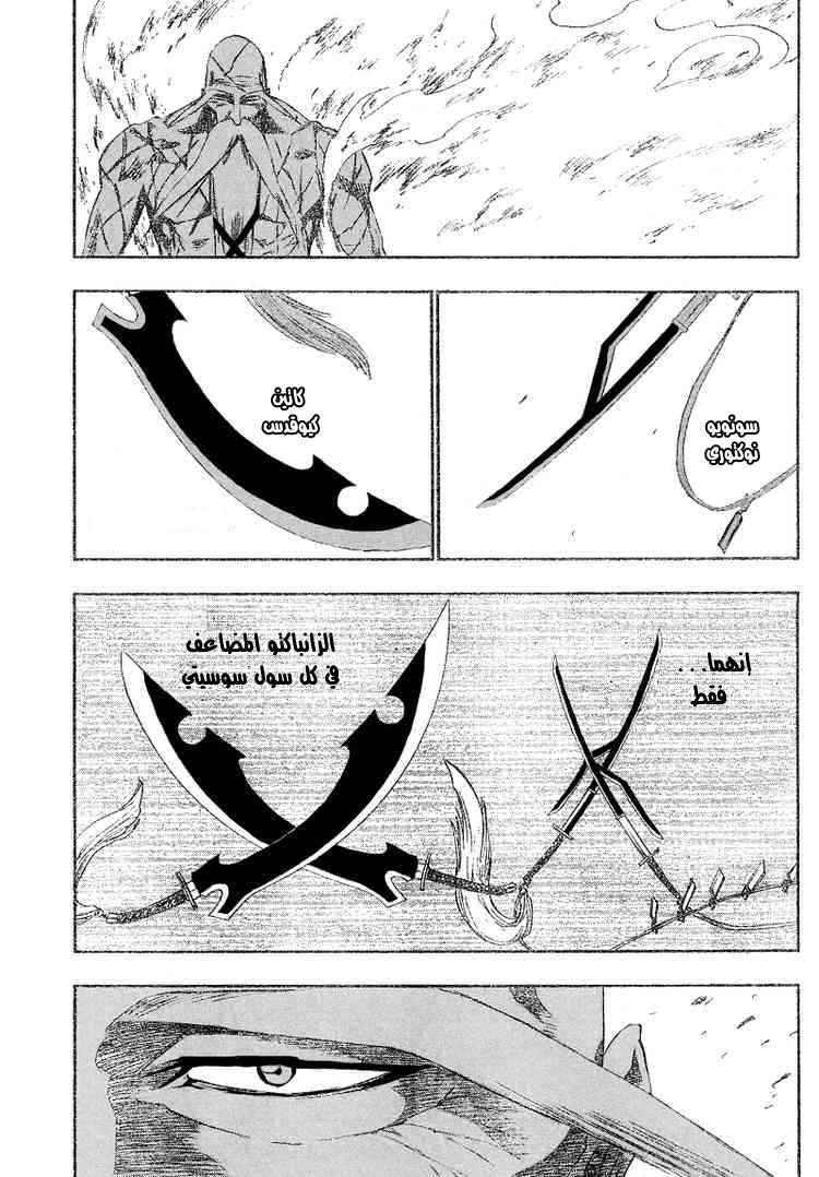 Bleach: Chapter 156 - Page 14