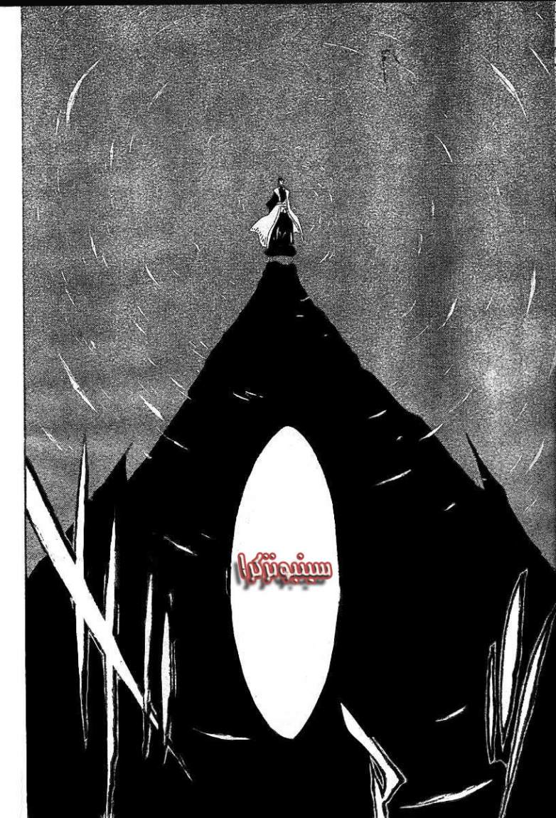 Bleach: Chapter 160 - Page 16