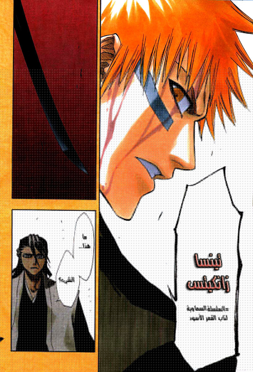 Bleach: Chapter 162 - Page 13