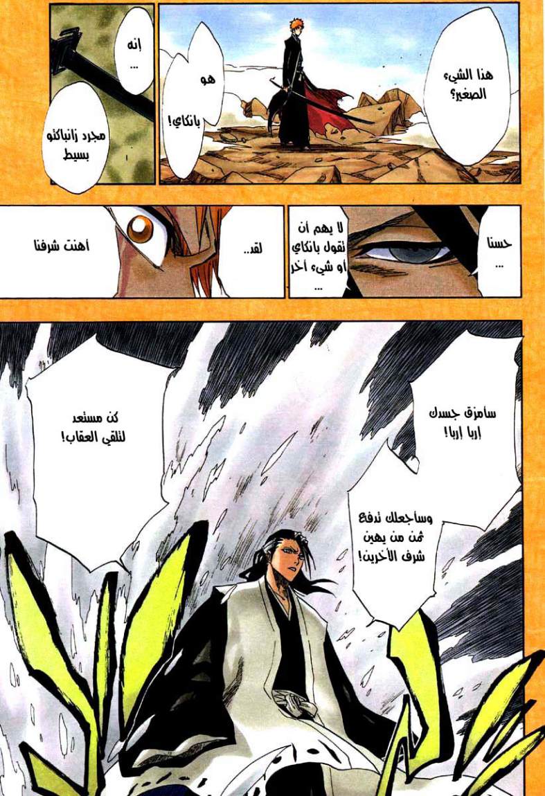 Bleach: Chapter 162 - Page 14