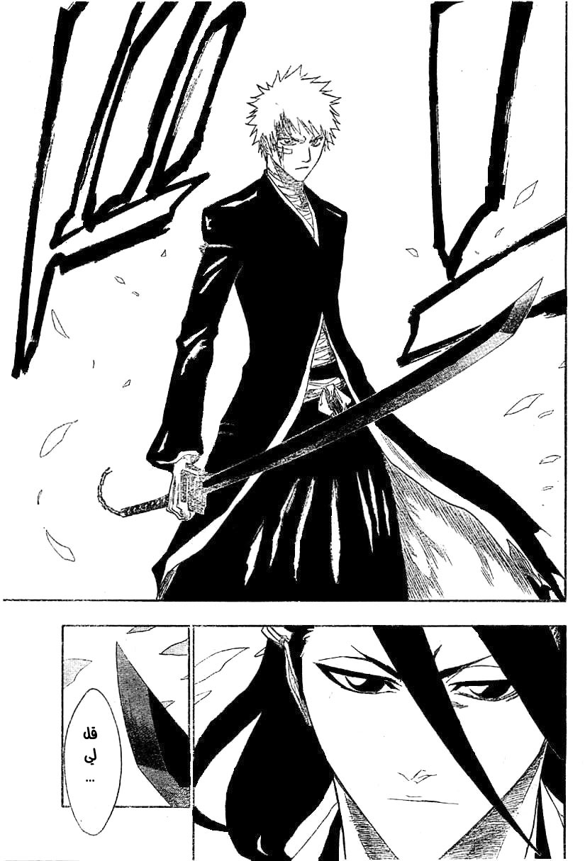 Bleach: Chapter 163 - Page 3