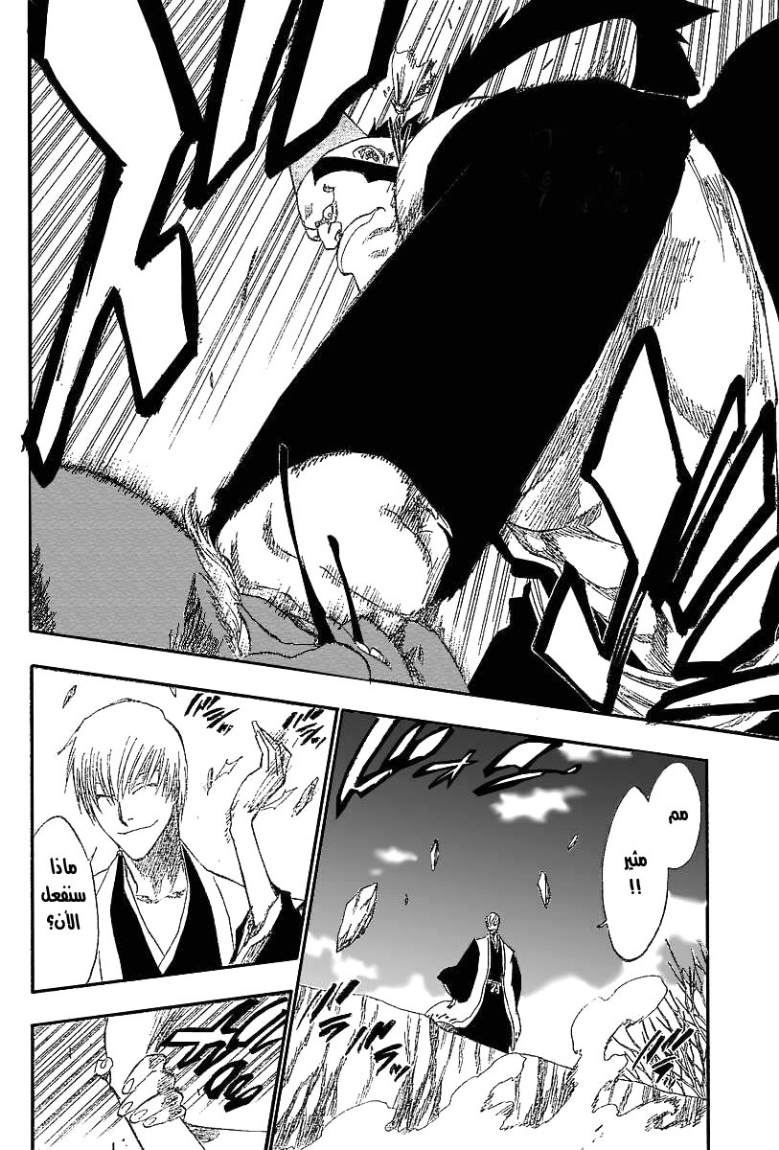 Bleach: Chapter 177 - Page 13