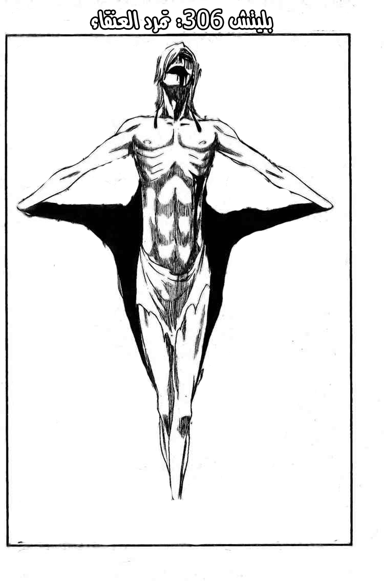 Bleach: Chapter 305 - Page 4