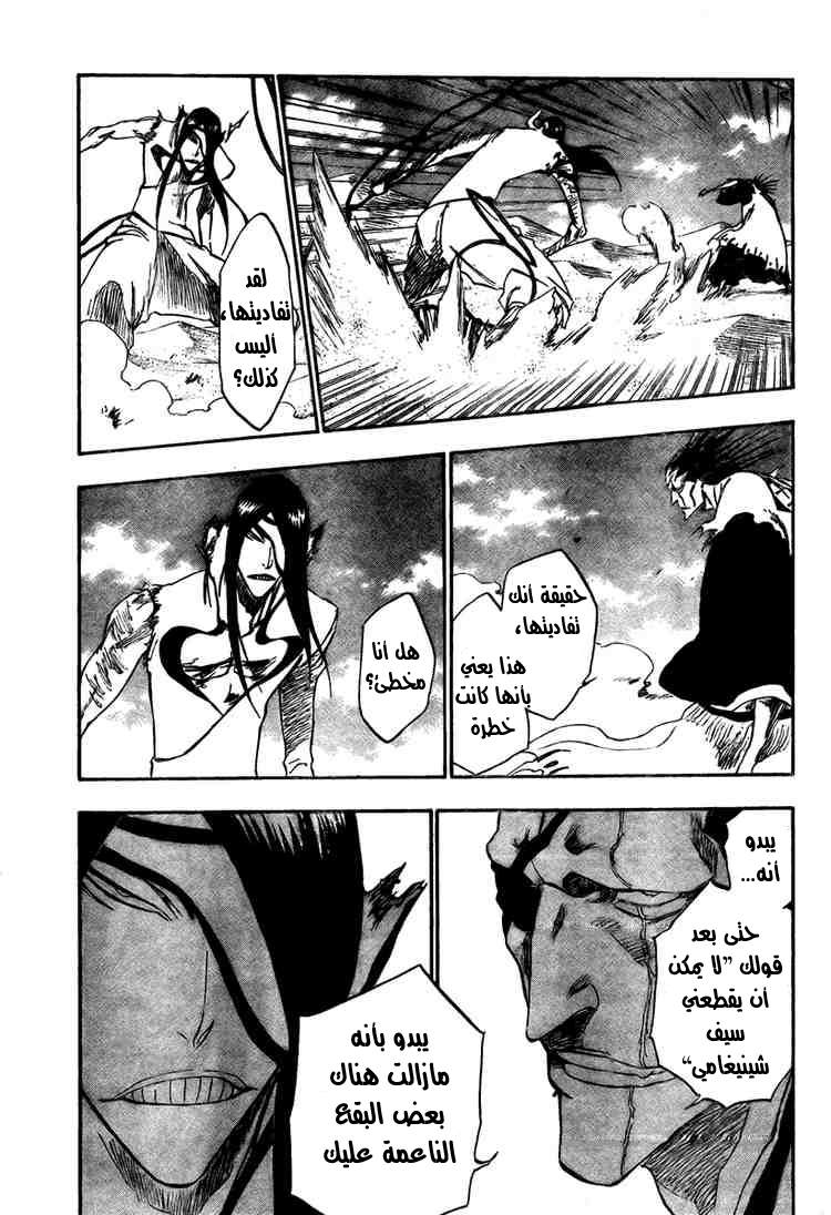 Bleach: Chapter 307 - Page 13