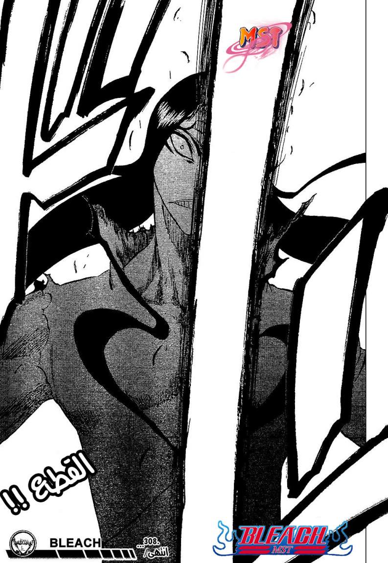 Bleach: Chapter 308 - Page 19