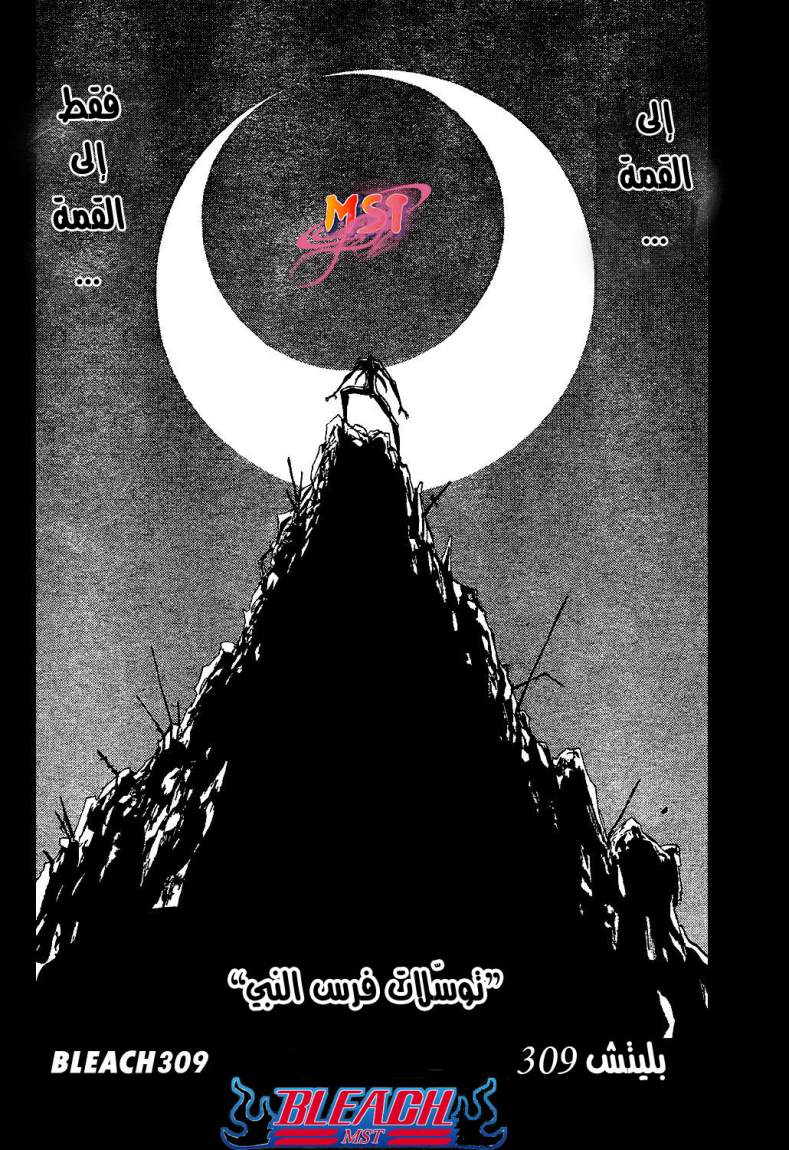 Bleach: Chapter 309 - Page 8